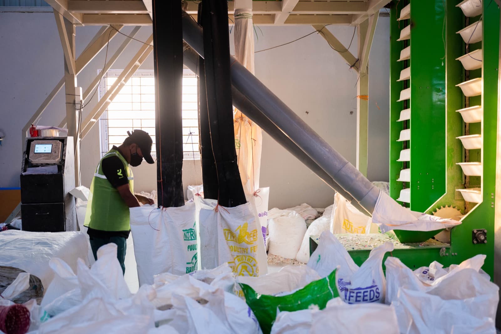 Collecting sorted output at the grading machine — each grade bagged separately.